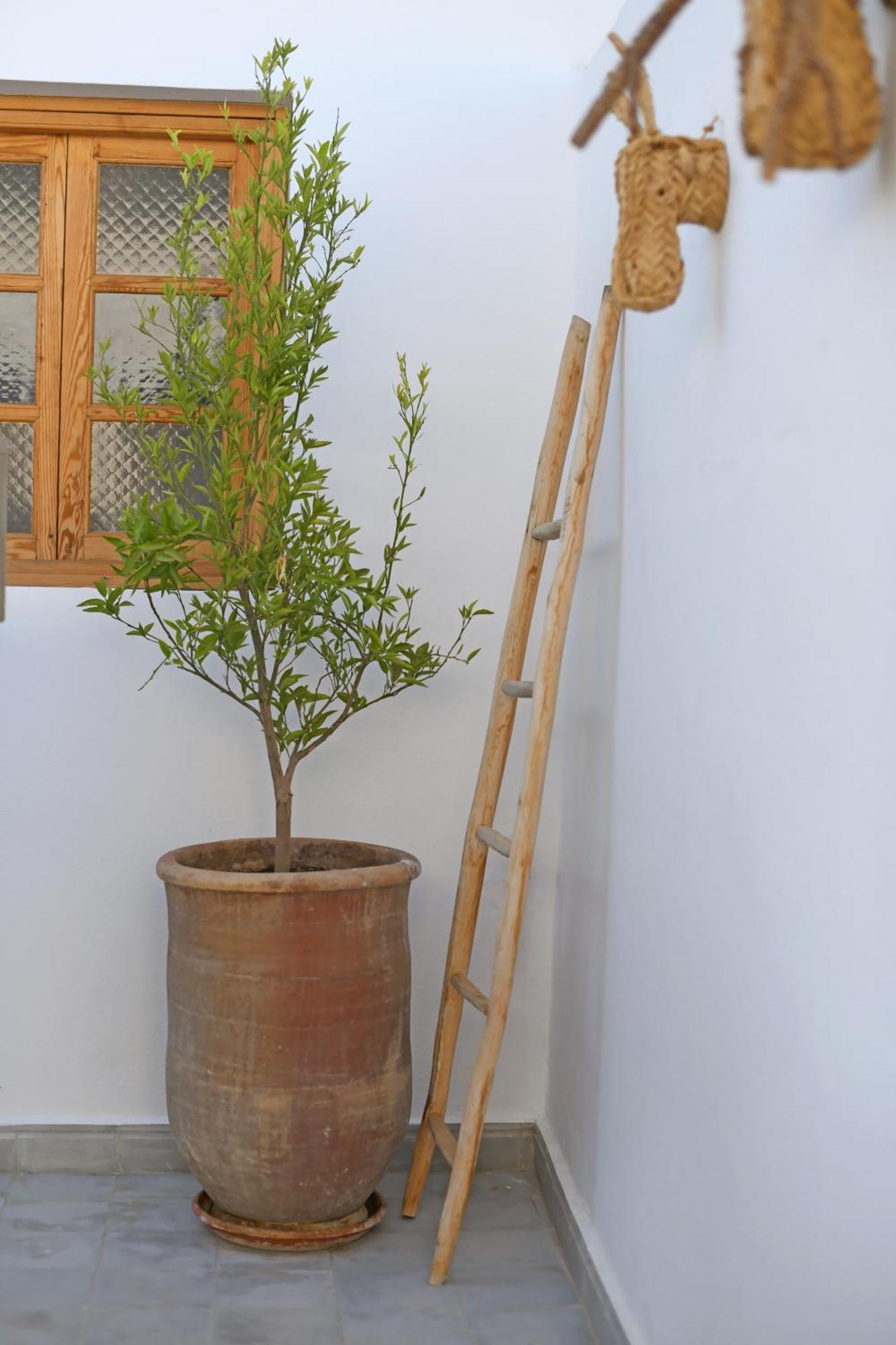 Riad Larbi Khalis Marraquexe Exterior foto